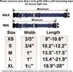 Fidohug large dog training collar in animal print flat lay perspective