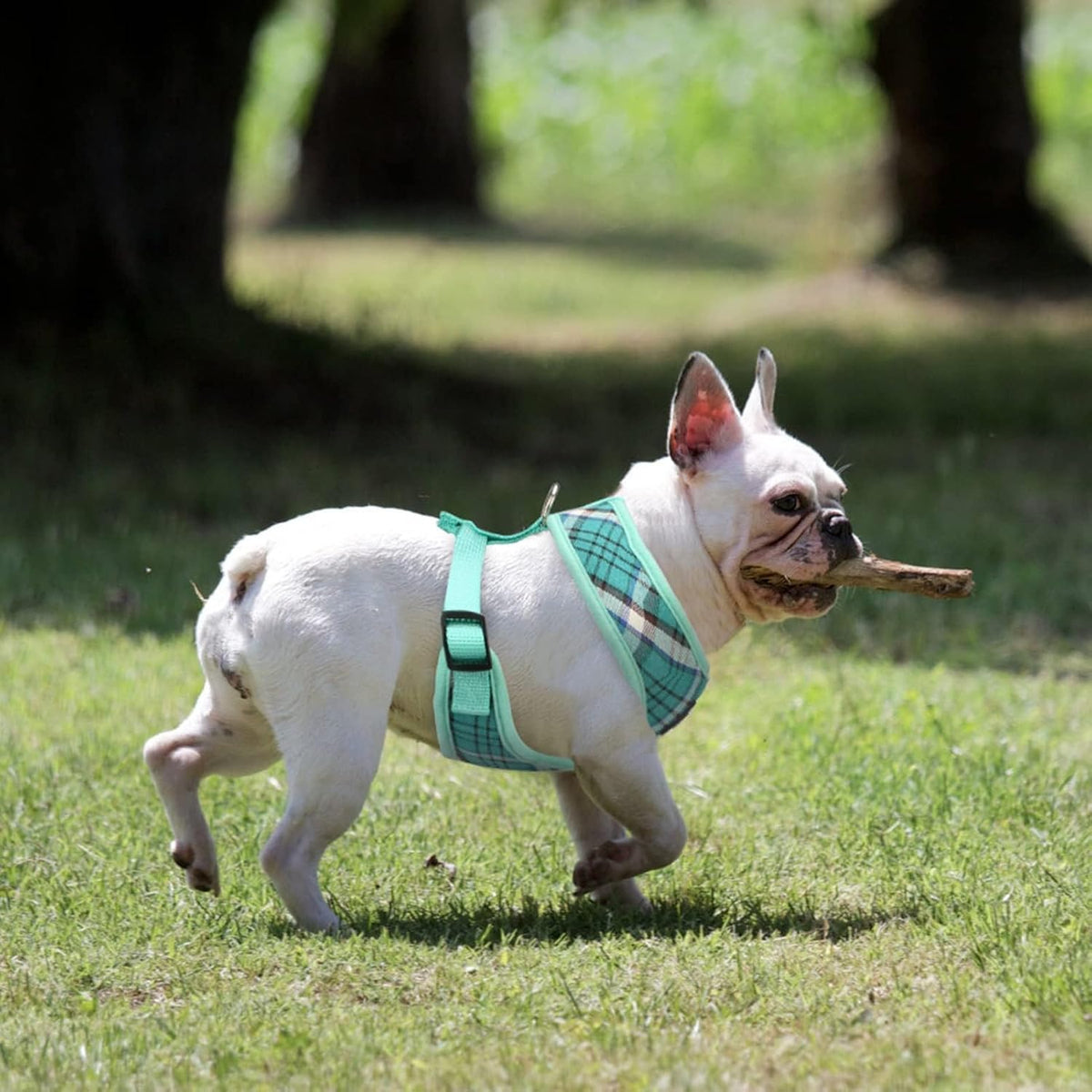 Pupteck step-in dog harness interior padding and mesh lining