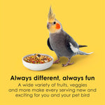 Back label of Kaytee Fiesta bag showing complete nutrition and ingredient list for cockatiels.