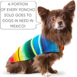 Detail of hand-woven serape fabric on Baja dog poncho