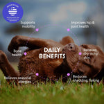 Omega three EPA and DHA nutritional fish oil supplement for canine hip and joint support