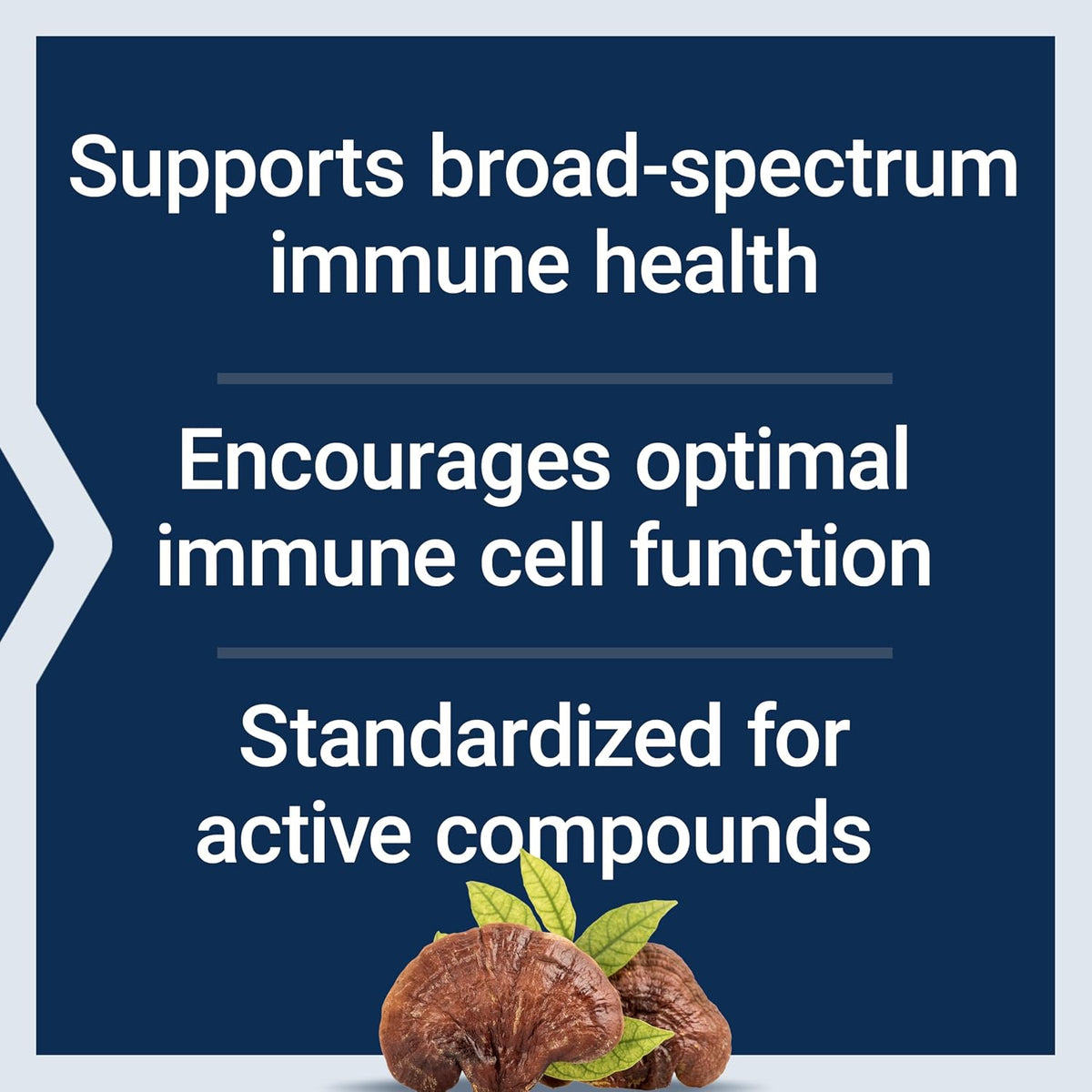 Life Extension Reishi Extract vegetarian capsules packaging detail