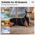 Adnikia lightweight dog winter coat back view displaying the anatomical fit for greyhound body types.