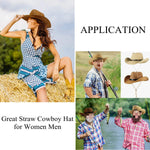 Classic western cowboy hat top down view of crown and brim