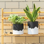 Nihow decorative plant container angle perspective