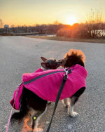 Gooby pink dog winter clothes close up of the pain free zipper guard