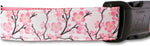 Caninedesign nylon dog collar adjustable strap detail