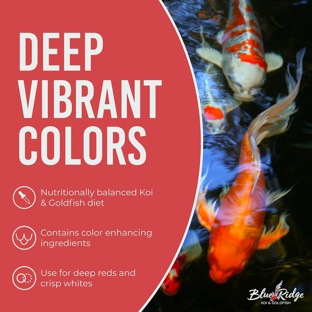 Blue Ridge 2 pound koi food bag side profile