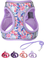 Step in Dog Harness and Leash Set, Flower Adjustable Easy Walk Puppy Harnesses, Soft Mesh No Pull Pet Vest Harness for Small Dogs and Cats(Strawberry, XS) - Image 9
