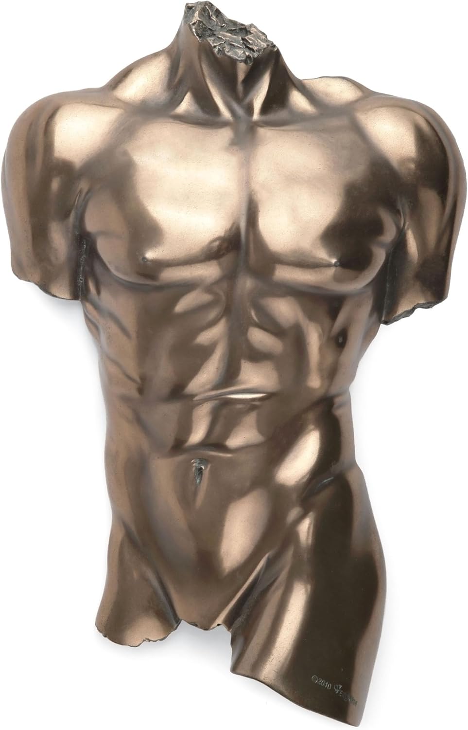 Bronze Finish Nude Male Torso Wall Hanging Figure Anatomy - Image 1