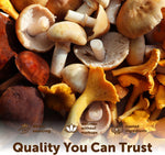 Micro Ingredients 10 mushroom blend powder pouch ingredients list