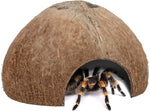 Waterproof coconut hideout packaged for international delivery