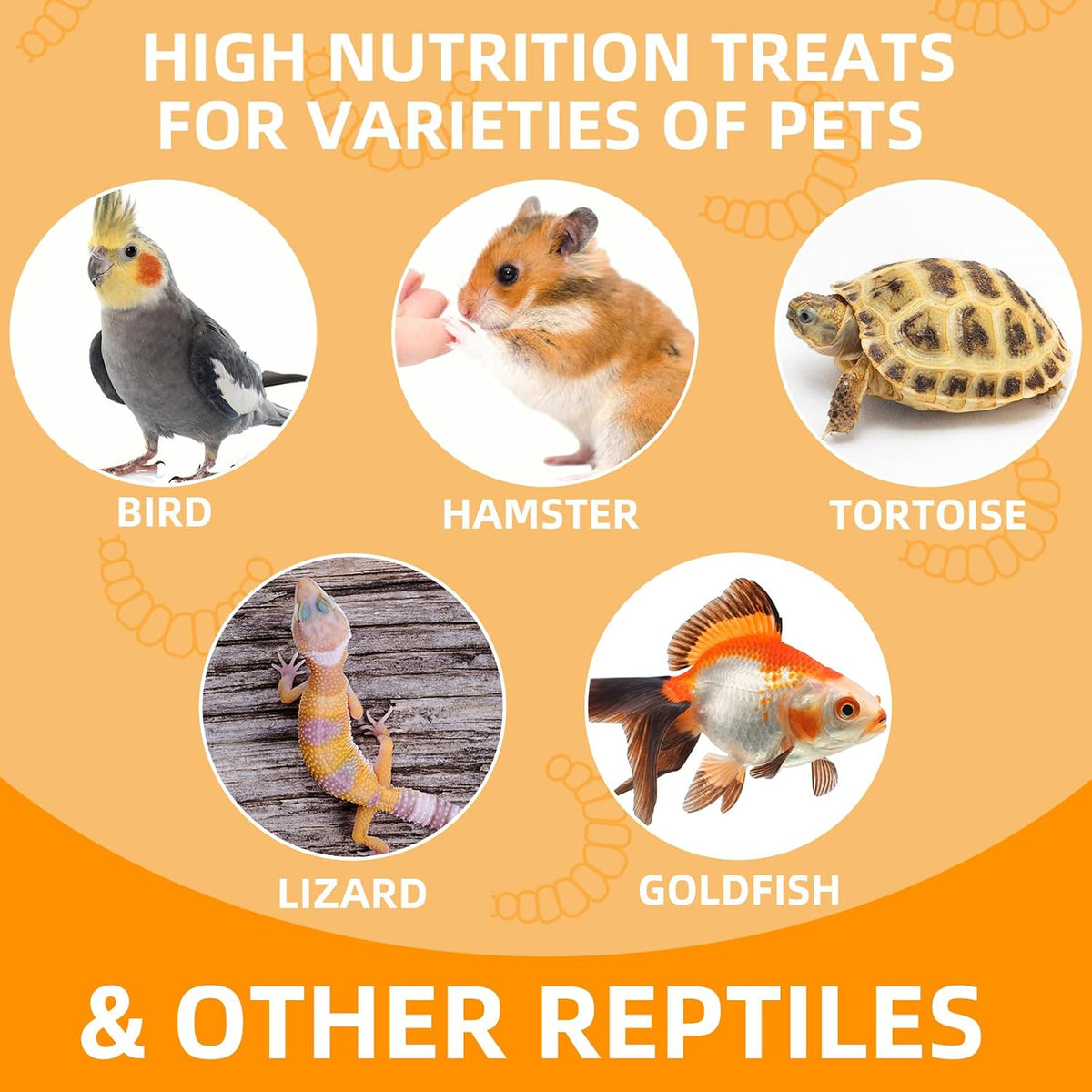Stay fresh lid on Jadingsfarm reptile food can