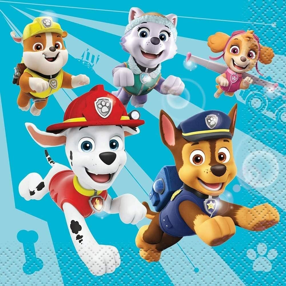 Unique Paw Patrol Multicolor Paper Beverage Napkins front pack view featuring Marshall Chase and Skye for kids birthday decorations.