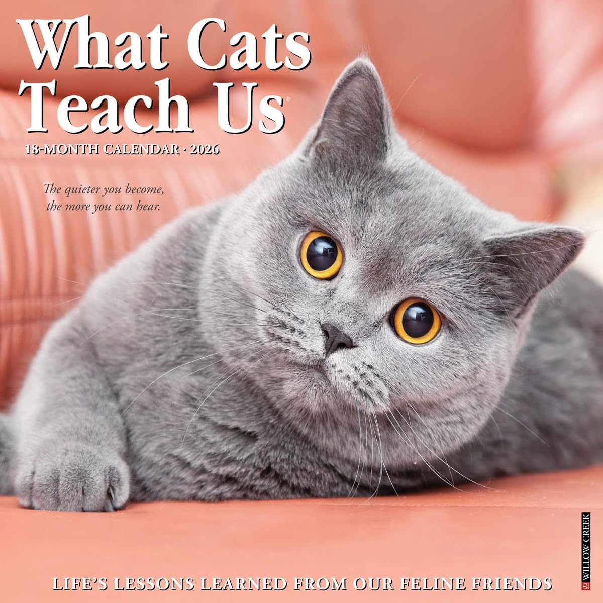 What Cats Teach Us 2026 Wall Calendar - Image 1