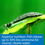 API Algae Eater Wafers 1.3 Ounce container packaging details