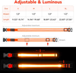 Orange LED pet collar shown in dark environment for visibility test