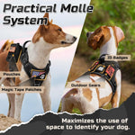 Rear view of rabbitgoo tactical dog harness with handle