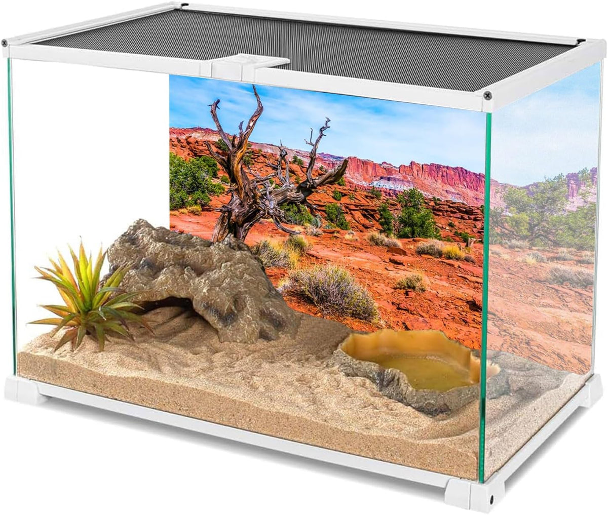 AWERT blue sky oasis reptile habitat backdrop installed on aquarium exterior