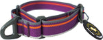 OllyDog small dog collar showing the limited-cinch slide mechanism