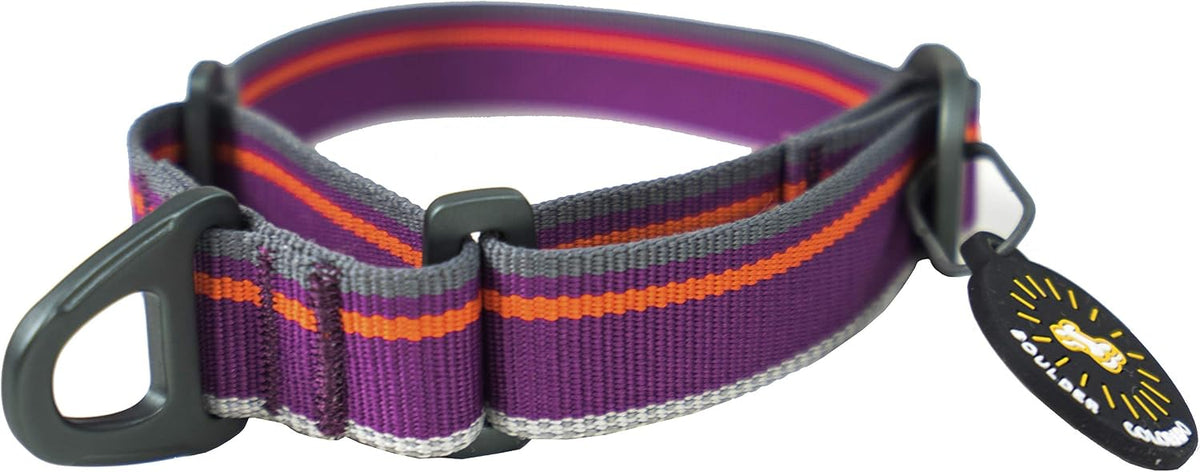 OllyDog small dog collar showing the limited-cinch slide mechanism