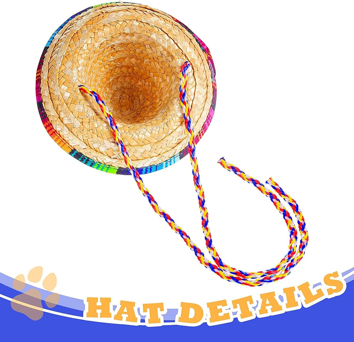 Turquoise mirrored sunglasses included in Ramede pet costume set