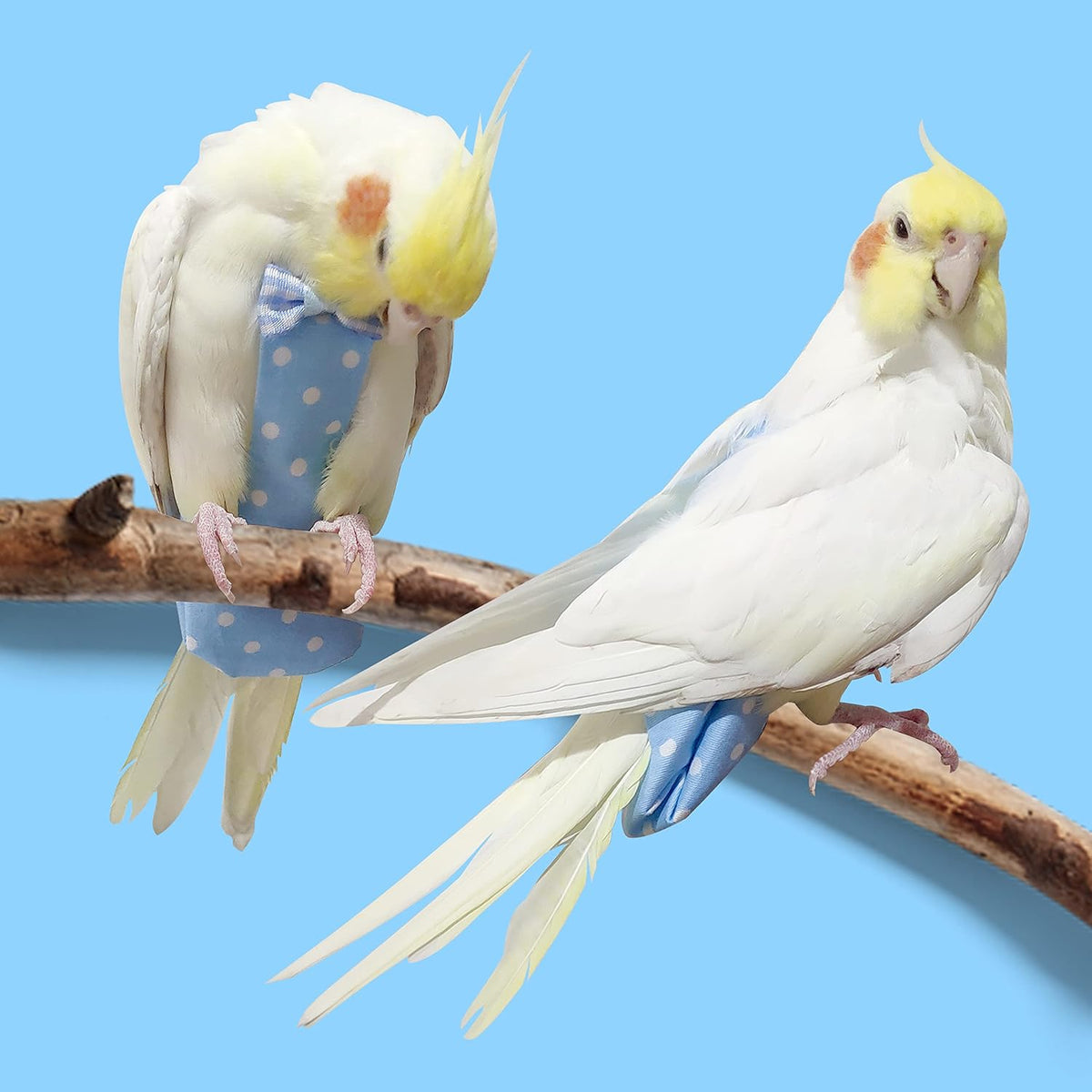 Product packaging for the VANFAVORI medium bird diaper harness flight suit showing all included pet training components and official brand labels.