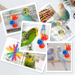 Quozuo small bird cage accessories showcasing durable non toxic materials and metal hooks.