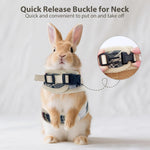 Aiitle no pull no choke pet harness dual D-rings close up view