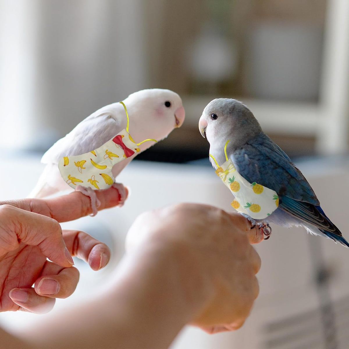 Zaruatu medium bird diaper packaging highlighting product dimensions