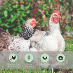 Comparative view of mealworms for bird watching enthusiasts