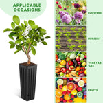 Hanabass deep tree planter plastic pots showing drainage holes