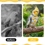 Six pack reusable parrot nappies demonstrating the 3D contour shape for small birds