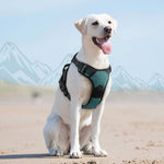 Eagloo large dog harness side profile showing anti choke design