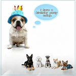 Adjustable strap details on RyanDesign pet birthday cap