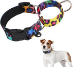 KOOLTAIL Martingale Collar for Dogs for Small Medium Large Dogs, Soft Padded Nylon No Pull Dog Collar with Buckle, Adjustable No Slip Heavy Duty Durable Puppy Training Collar for Boys Girls, Blue M - Image 10