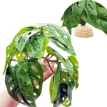 Group of Keruideng artificial plants in a reptile habitat