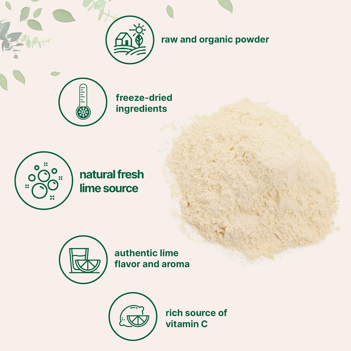 Micro Ingredients Organic Freeze-Dried Lime Powder fine texture closeup