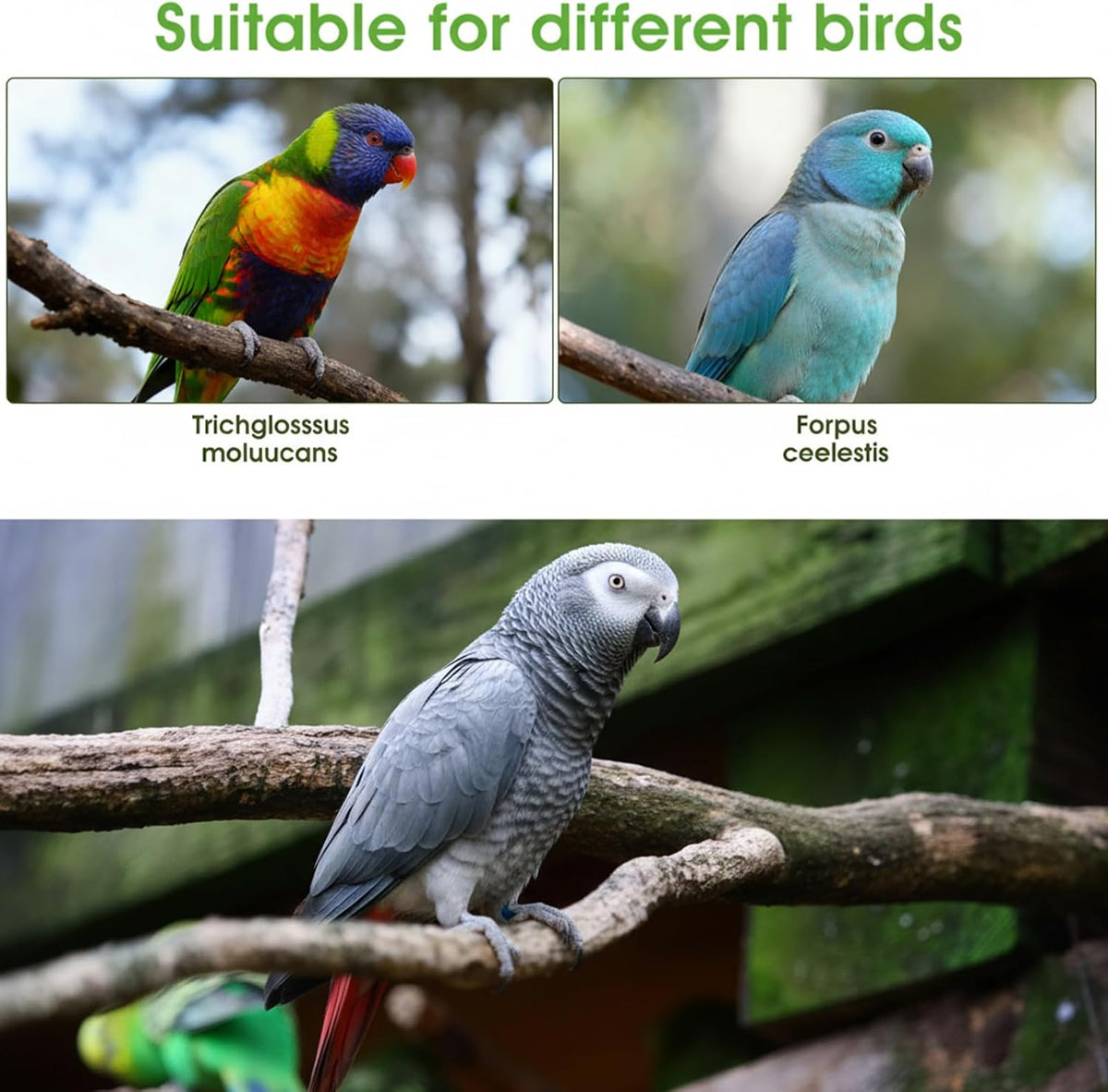 HJZHII washable avian nappy pack demonstrating durable stitching and premium materials