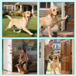 Dog Door Bell for Potty Training, Smart Wireless Doggie Doorbell to Go Outside, 1000 Feet Long Range with IP65 Waterproof Super-Light Touch Button, 60 Melodies & Adjustable Volume (2 Button) - Image 9
