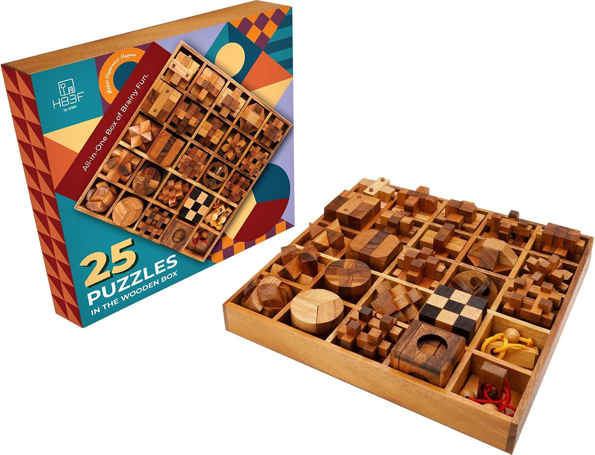 BSIRI wooden brain teaser puzzles front view