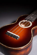 Wound bass strings detail for baritone ukulele
