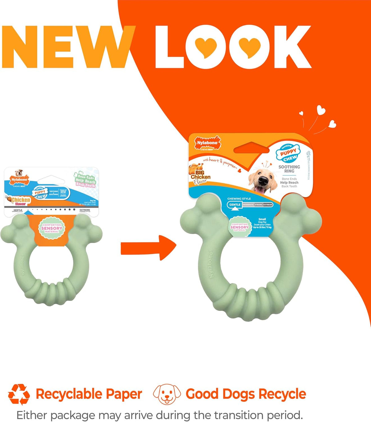 Nylabone Sensory Material puppy chew toy in green ring design