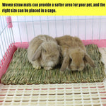 Rolled grass mat serving as a fun play tunnel for guinea pigs