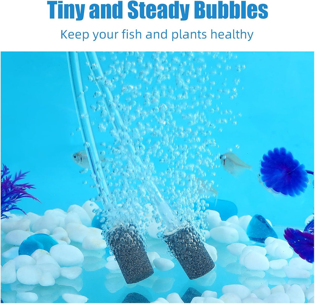 Aquaneat aerator stones showing 0.55 inch diameter and 1 inch height dimensions