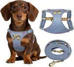 No Pull Dog Harness and Leash Set for Small Sized Dog Training with Multifunction Dog Leash, Soft Adjustable No Choke Escape Proof Pet Harness for Small and Medium Dog (Pink, XXS) - Image 11