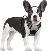 Rabbitgoo dog harness front view showing dual clips