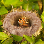 Small bird nest built with Creatcabin bedding