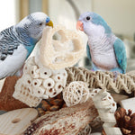 Kyouki cockatiel shredder toy showing loofah and spiral seagrass components.