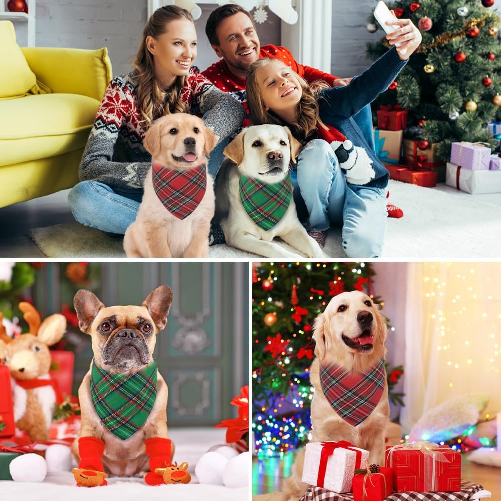 Vivifying Christmas dog apparel styled for festive photoshoot